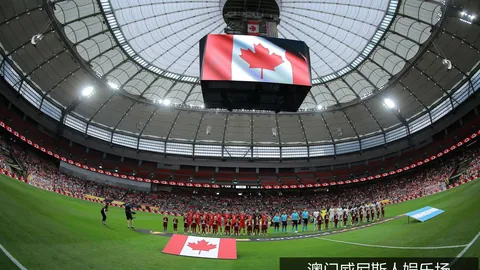 2026年深度学习技术全面指南澳门威尼斯人娱乐场下载：深度学习算法避雷点